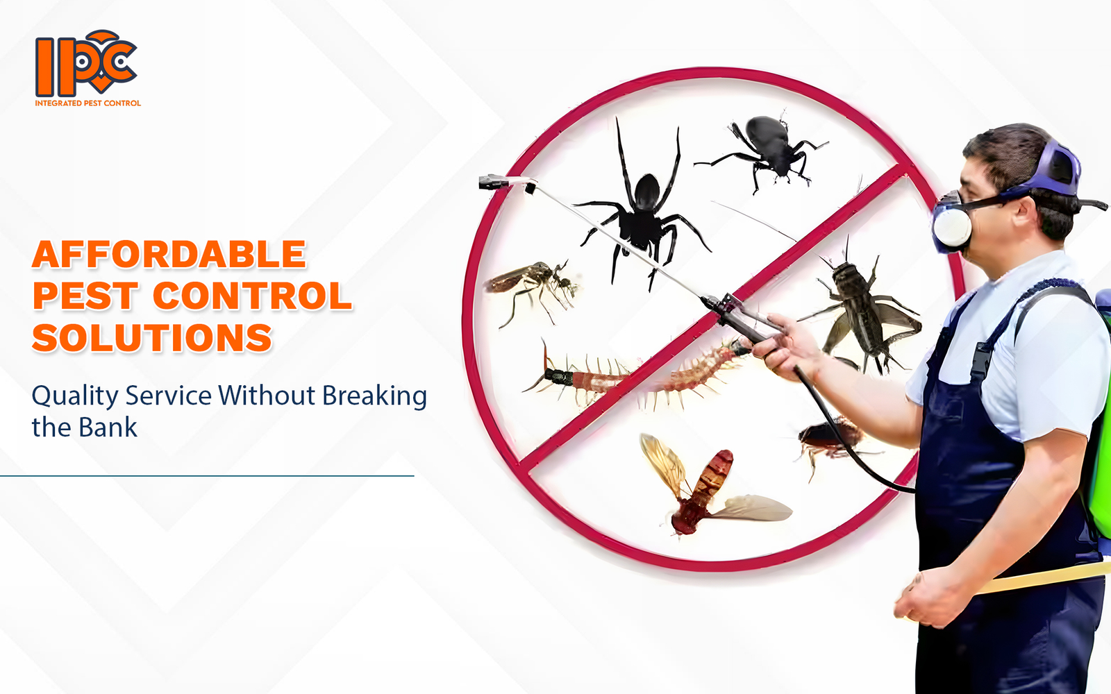 Affordable Pest Control Solutions: Quality Service Without Breaking the Bank