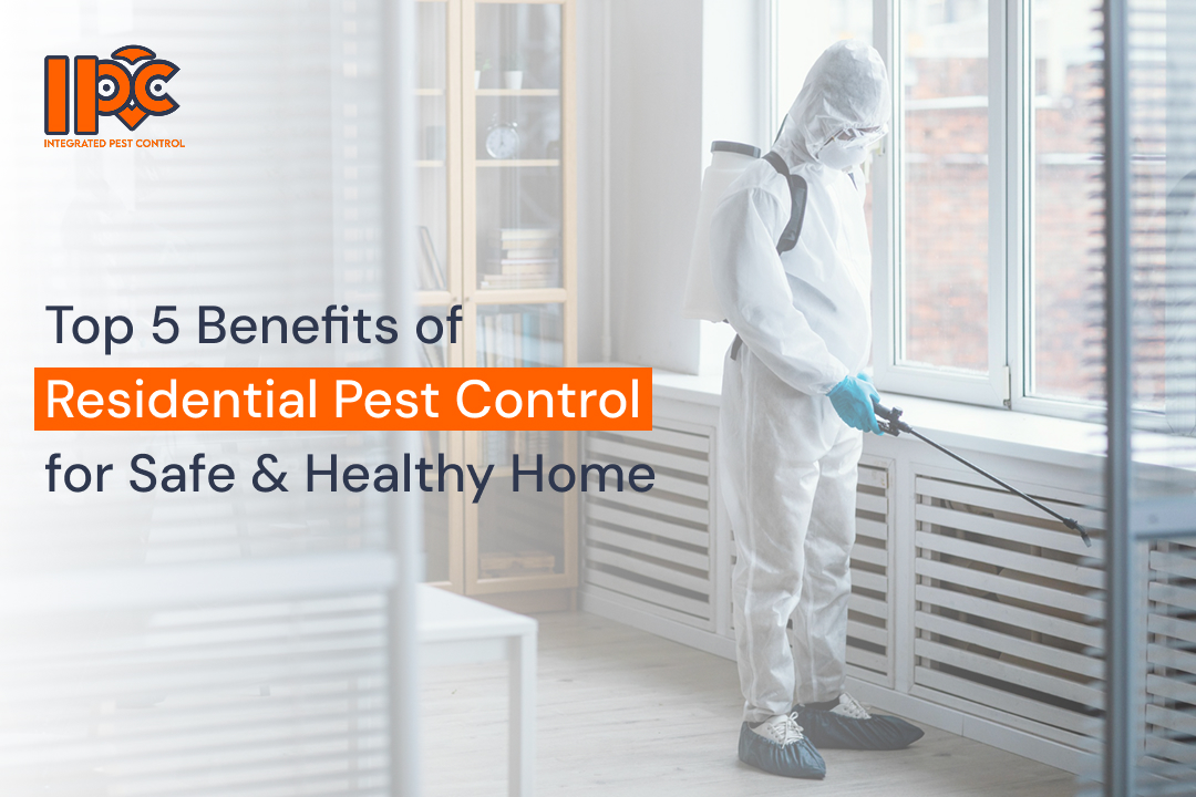 Top 5 Benefits of Residential Pest Control for a Safe and Healthy Home