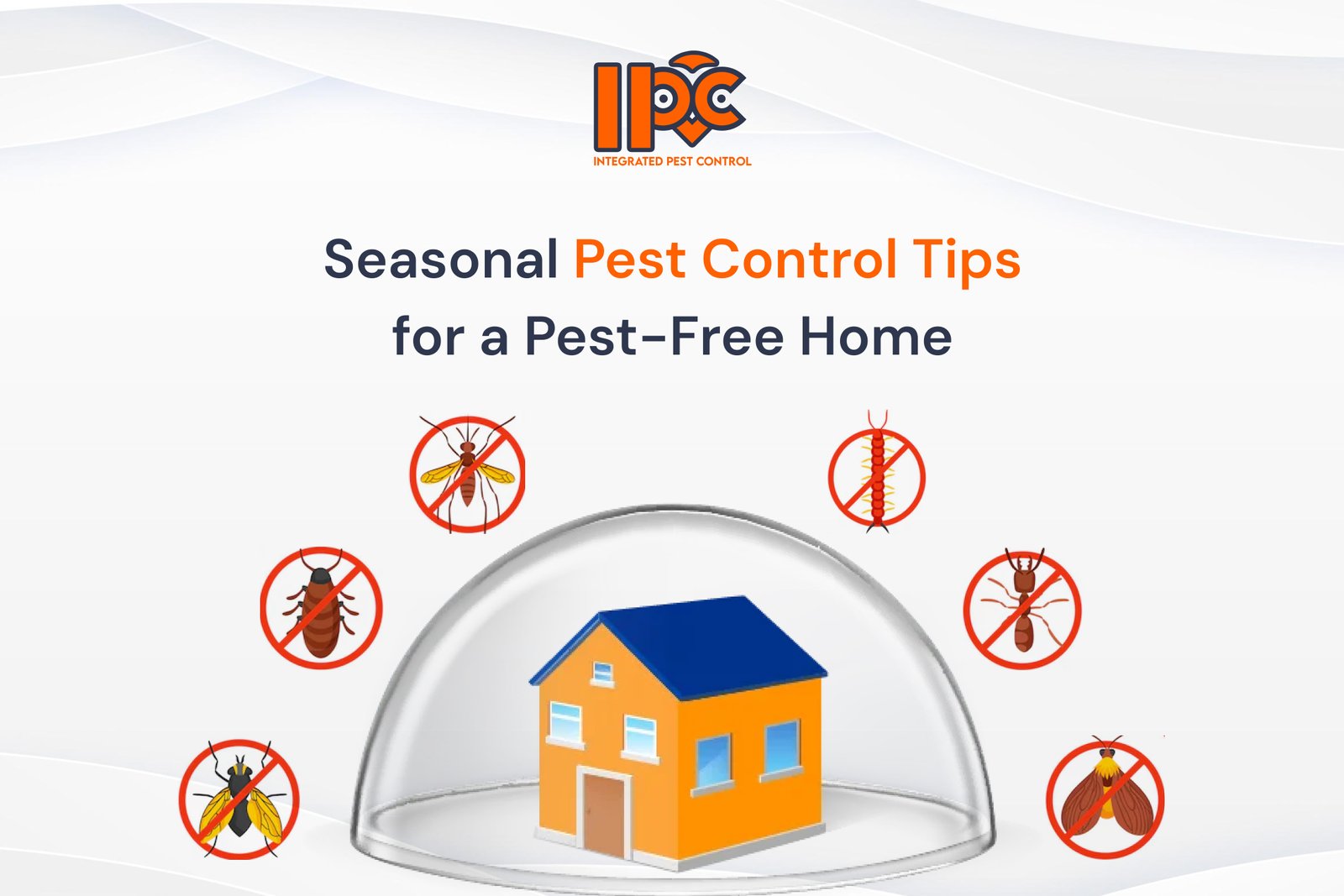 Seasonal Pest Control Tips: Keep Your Home Pest-Free All Year Round
