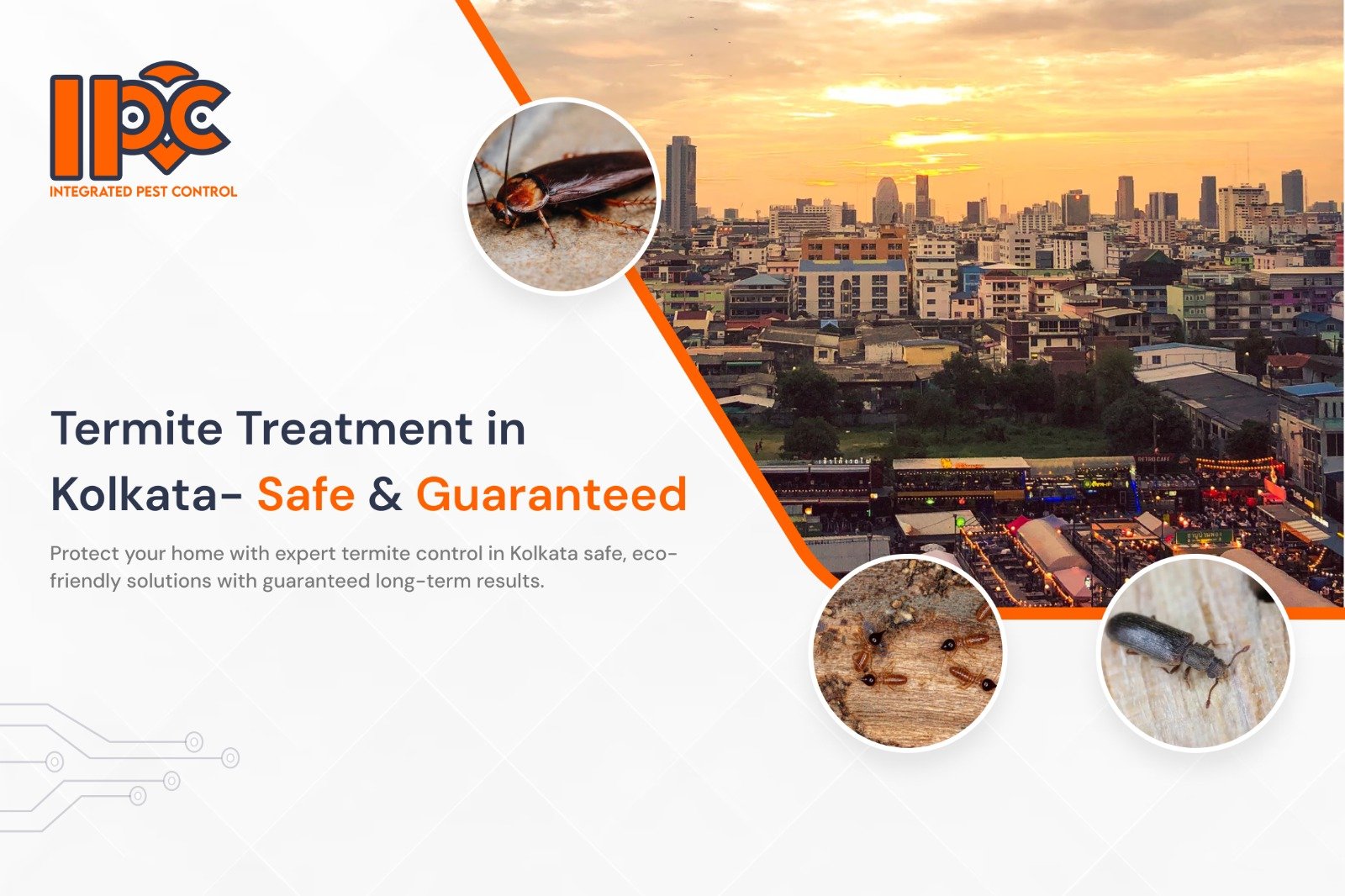 Termite Treatment in Kolkata – Safe & Guaranteed